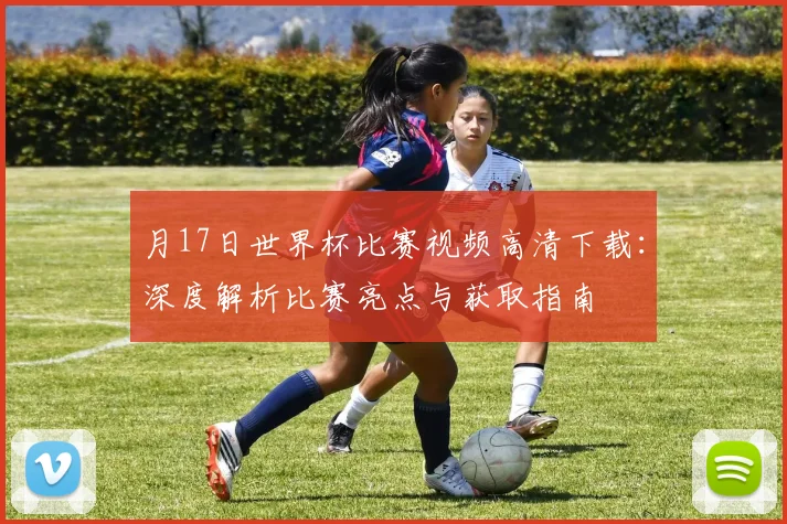 月17日世界杯比赛视频高清下载：深度解析比赛亮点与获取指南