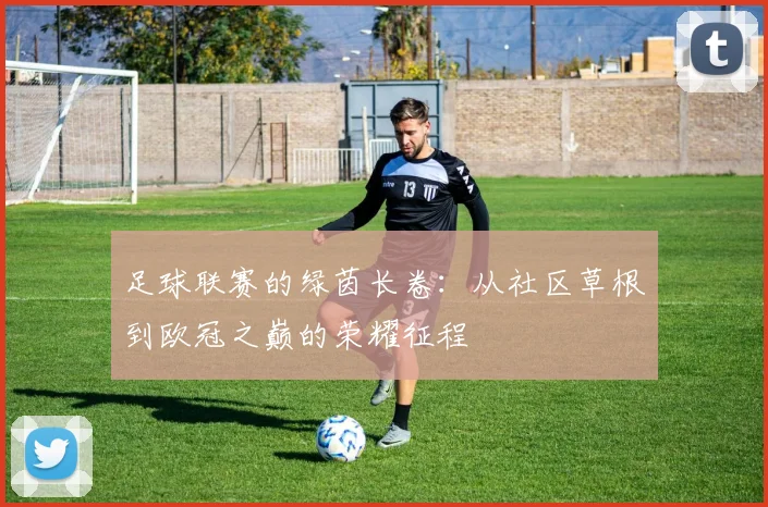 足球联赛的绿茵长卷：从社区草根到欧冠之巅的荣耀征程